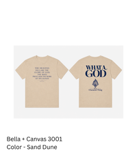 WHAT A GOOD Heavyweight Streetwear Tee | It's A Character Thing